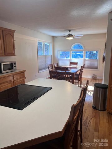 194 Ridgeview Drive, Whittier, NC 28789