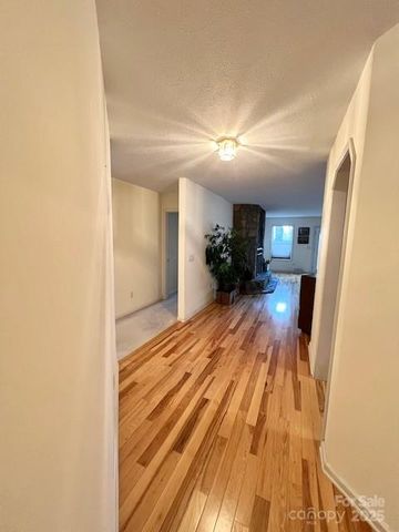 194 Ridgeview Drive, Whittier, NC 28789