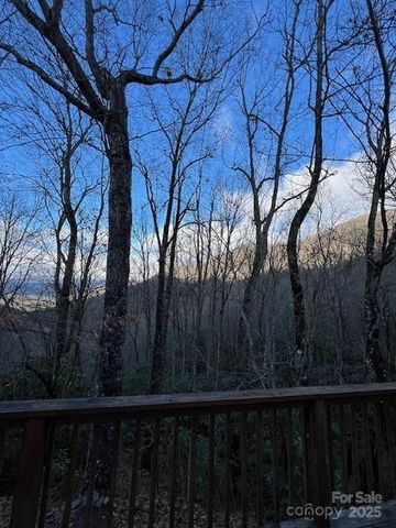 194 Ridgeview Drive, Whittier, NC 28789