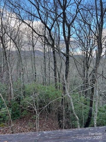 194 Ridgeview Drive, Whittier, NC 28789