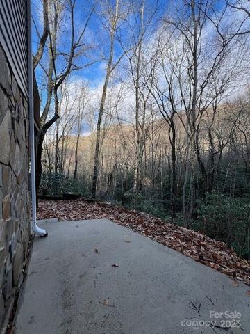 194 Ridgeview Drive, Whittier, NC 28789