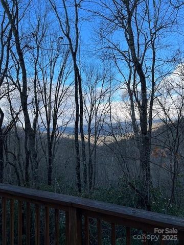 194 Ridgeview Drive, Whittier, NC 28789