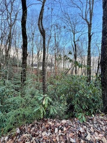 194 Ridgeview Drive, Whittier, NC 28789