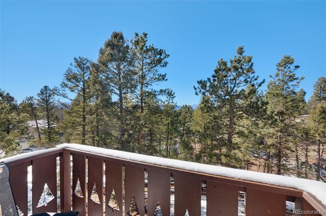 1276 Pinewood Road, Florissant, CO 80816