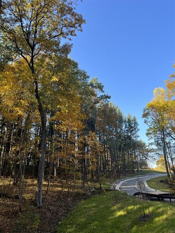 6825 Morrison Hls Court, Dexter, MI 48130
