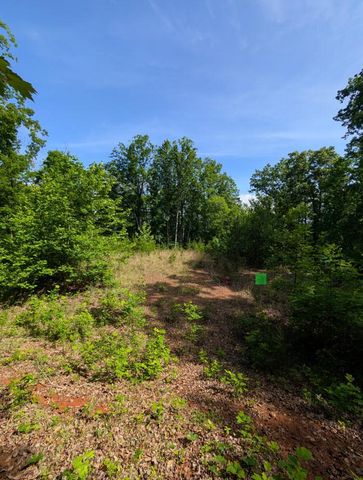 TR 2 Falcon Overlook, Hayesville, NC 28904