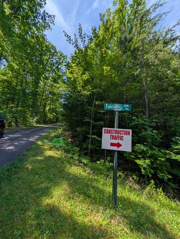 TR 2 Falcon Overlook, Hayesville, NC 28904