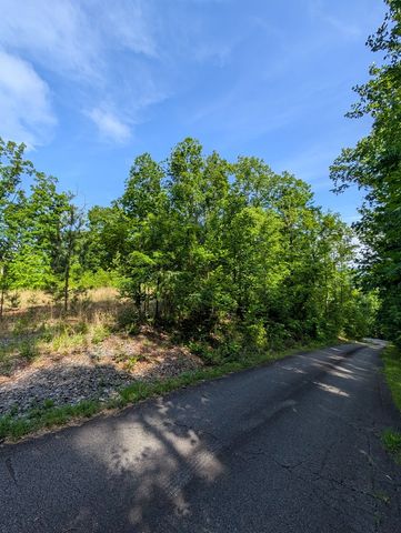 TR 2 Falcon Overlook, Hayesville, NC 28904