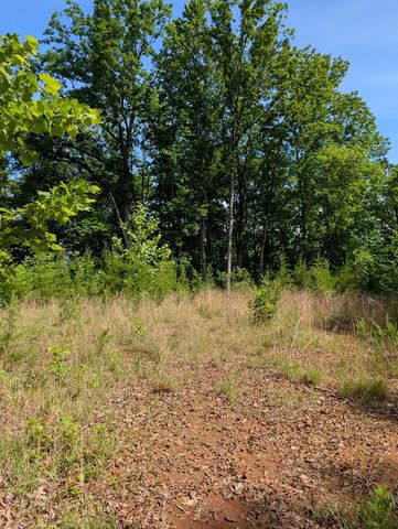TR 2 Falcon Overlook, Hayesville, NC 28904