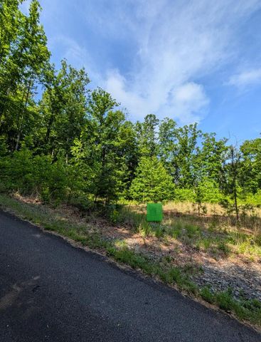 TR 2 Falcon Overlook, Hayesville, NC 28904
