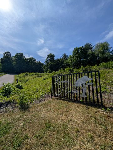 TR 2 Falcon Overlook, Hayesville, NC 28904