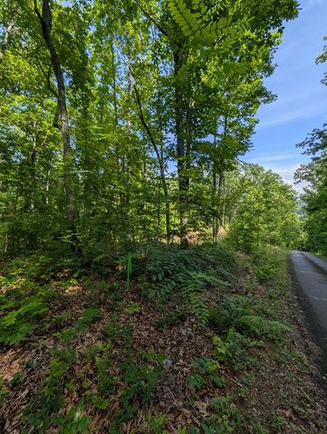 TR 2 Falcon Overlook, Hayesville, NC 28904