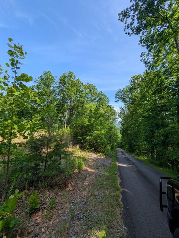 TR 2 Falcon Overlook, Hayesville, NC 28904