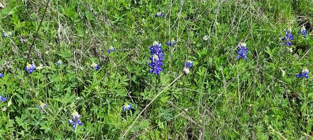 397 Clubhouse Drive, Burleson, TX 76028