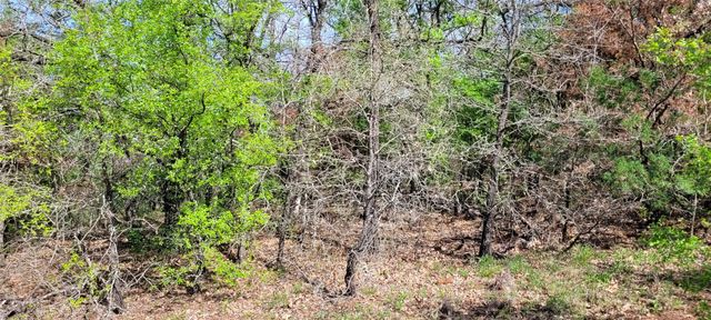 397 Clubhouse Drive, Burleson, TX 76028