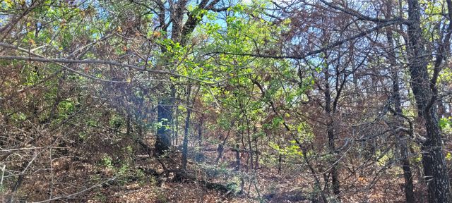 397 Clubhouse Drive, Burleson, TX 76028