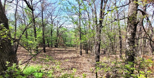 397 Clubhouse Drive, Burleson, TX 76028