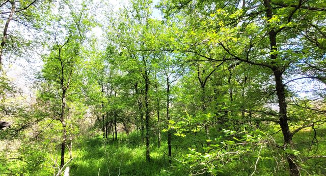 397 Clubhouse Drive, Burleson, TX 76028