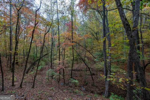 0 Bullock Bridge Road TRACT 1, Monroe, GA 30656