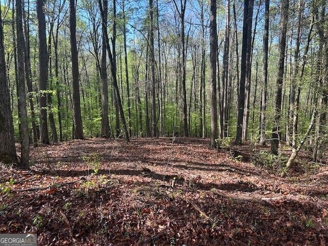 0 Bullock Bridge Road TRACT 1, Monroe, GA 30656