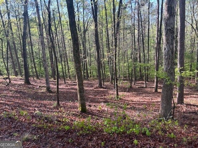 0 Bullock Bridge Road TRACT 1, Monroe, GA 30656