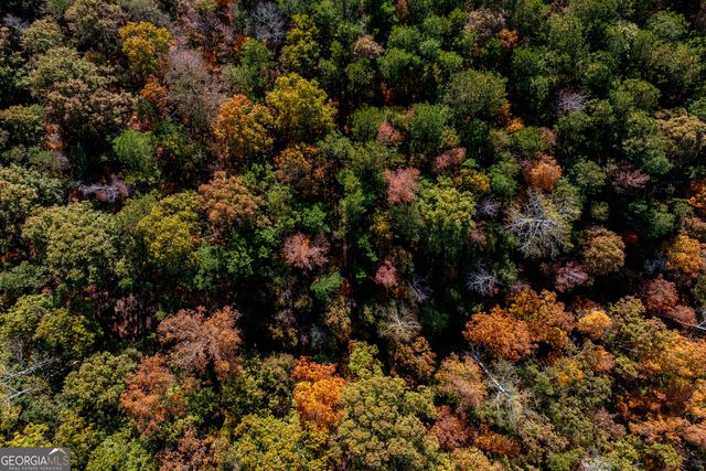 0 Bullock Bridge Road TRACT 1, Monroe, GA 30656