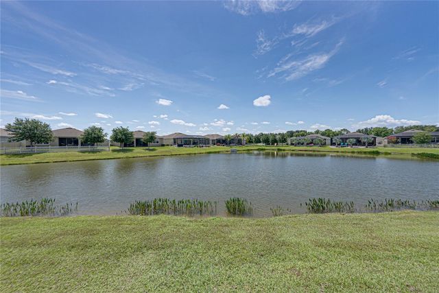 31785 TANSY BEND, Wesley Chapel, FL 33545