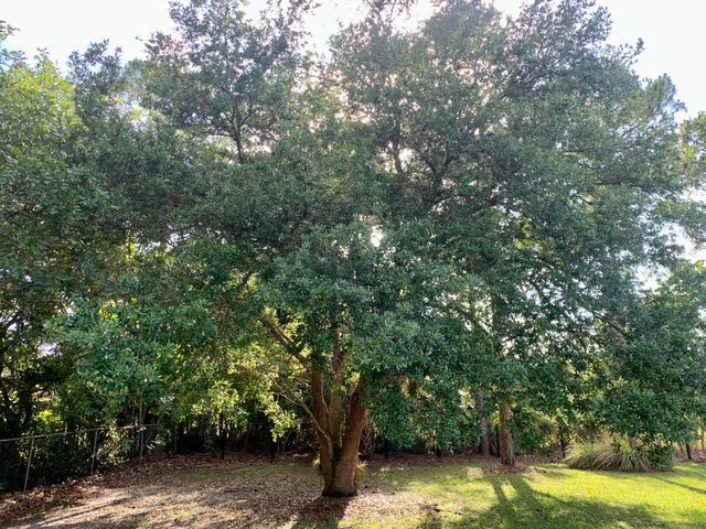12920 N 75th Ln Lane N, The Acreage, FL 33412