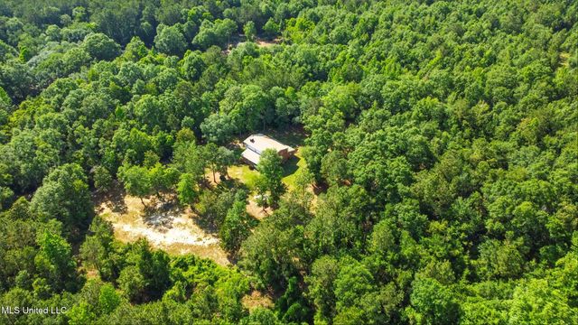 18 Shamrock Lane, Carriere, MS 39426