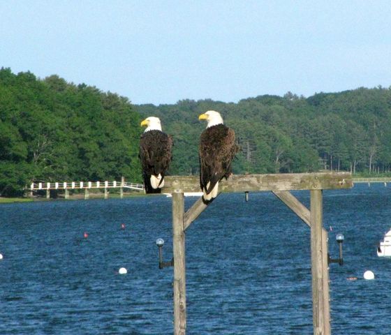 19 Cote Drive, Dover, NH 03820