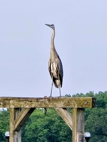 19 Cote Drive, Dover, NH 03820