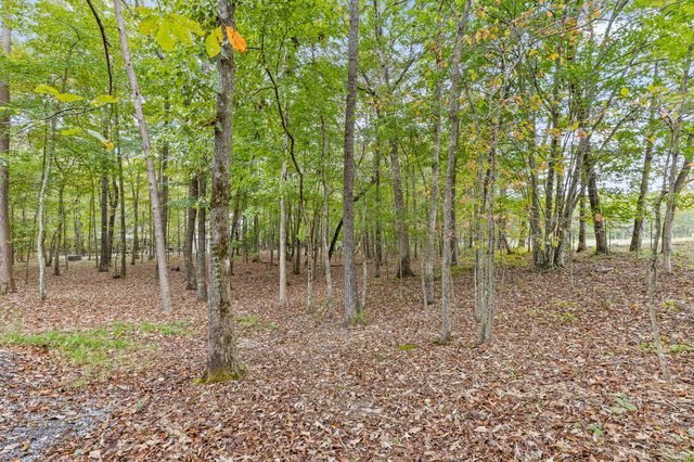 6112 Cove Road, Mentone, AL 35984