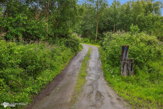 20262 E Birch Hill Drive, Palmer, AK 99645
