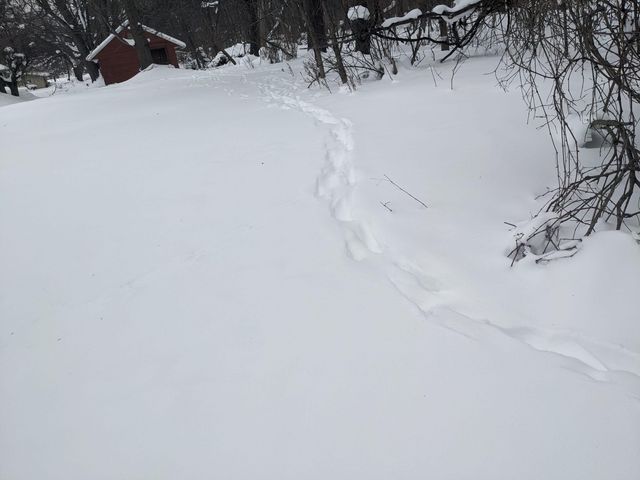 1820 Wilson Avenue Nw, City Of Walker, MI 49534