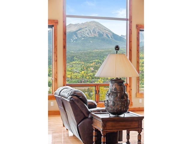 85 Pheasant Tail Ln, Silverthorne, CO 80498