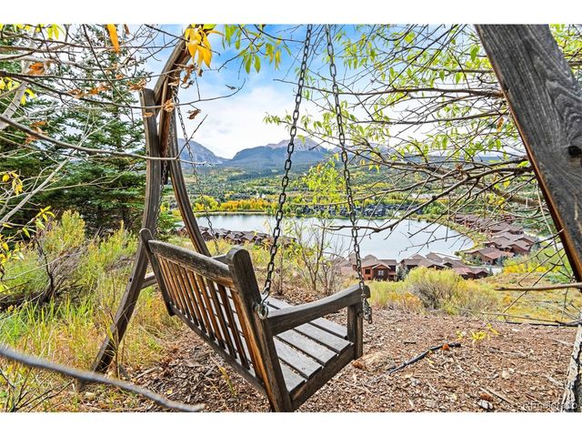 85 Pheasant Tail Ln, Silverthorne, CO 80498