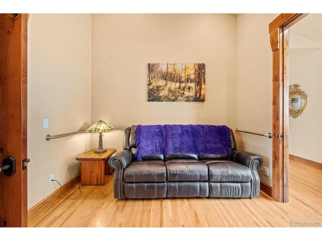 85 Pheasant Tail Ln, Silverthorne, CO 80498