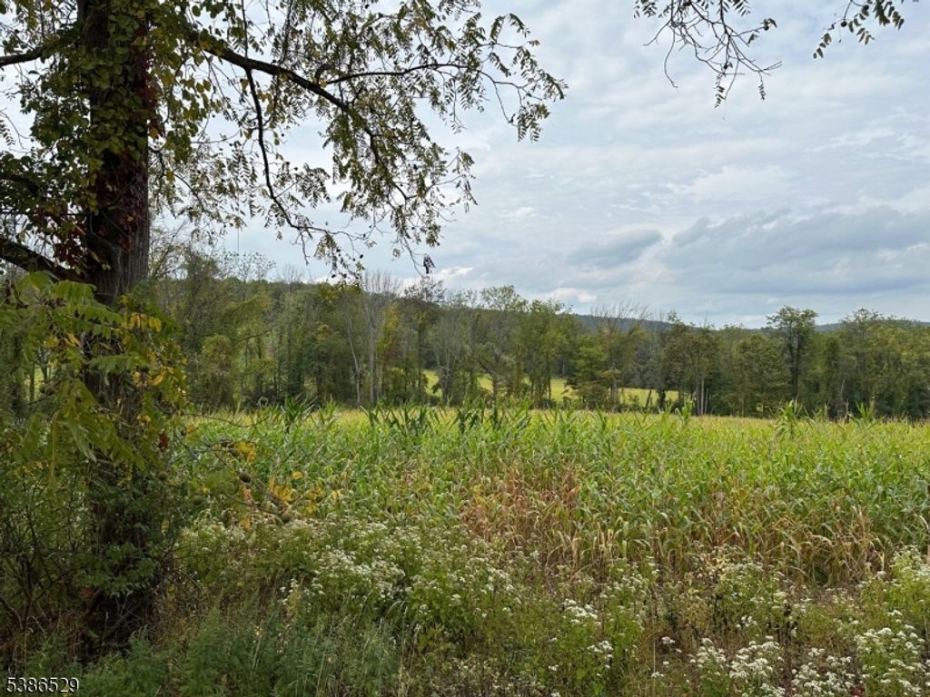 395 Mountain Lake Rd, Liberty Twp., NJ 07838
