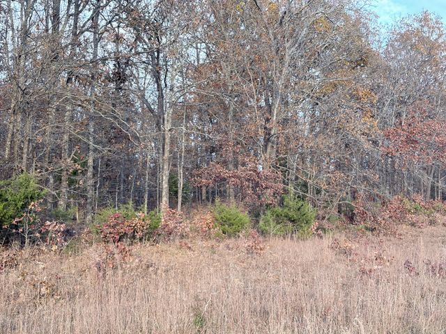 000 County Road 9100, West Plains, MO 65775