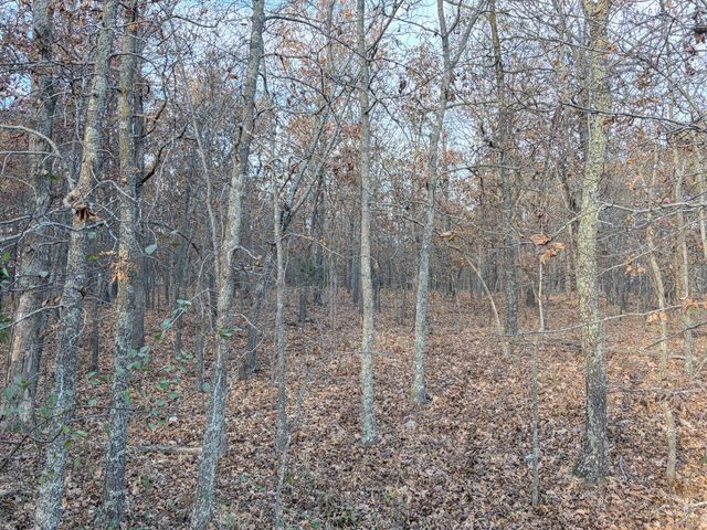 000 County Road 9100, West Plains, MO 65775