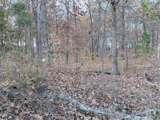 000 County Road 9100, West Plains, MO 65775