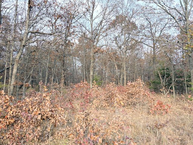 000 County Road 9100, West Plains, MO 65775