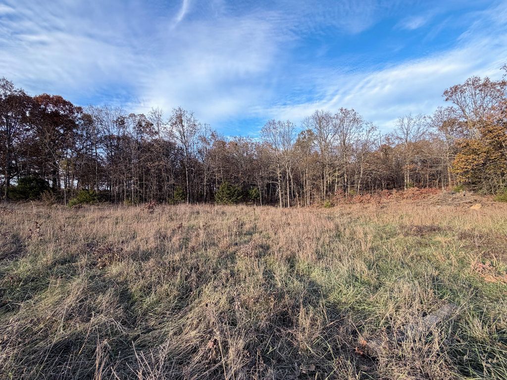 000 County Road 9100, West Plains, MO 65775