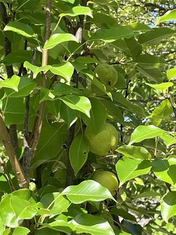 27 Stucky Lane, Bella Vista, AR 72715