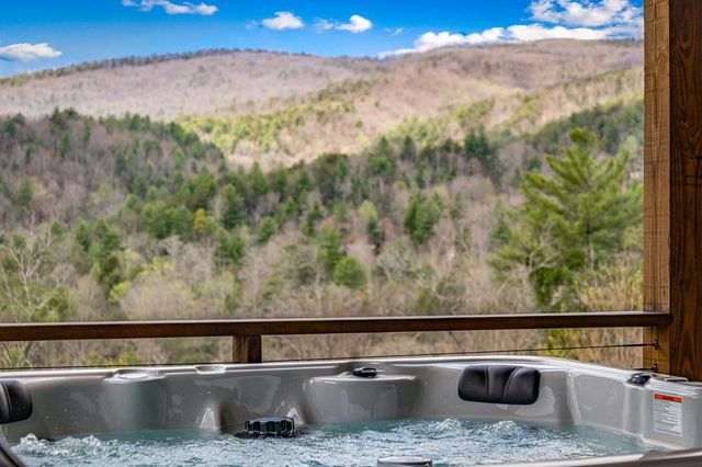 125 Stanley Creek Overlook, Cherry Log, GA 30522
