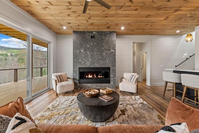 125 Stanley Creek Overlook, Cherry Log, GA 30522