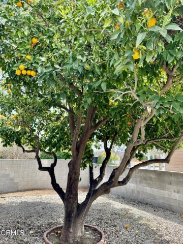 345 N San Gabriel Boulevard, San Gabriel, CA 91775