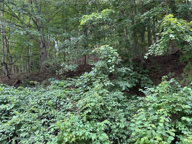 1037 MacCorkle Avenue, St Albans, WV 25177