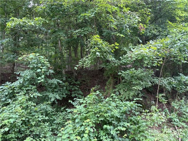 1037 MacCorkle Avenue, St Albans, WV 25177