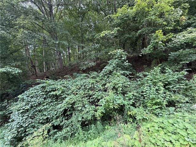 1037 MacCorkle Avenue, St Albans, WV 25177